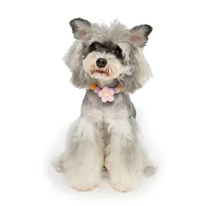 Macro view of a colorful handmade crochet flower pet collar on a fluffy gray dog