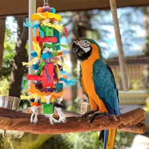 Natural colorful wooden parrot chewing toy hanging for large birds, shown with Macaw.
