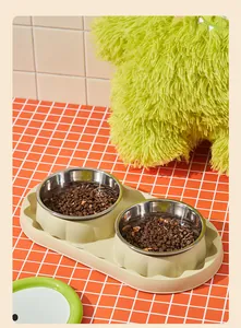 Close-up of double stainless steel pet bowls filled with dry food in lifestyle setting