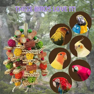 Jouet à mâcher pour oiseaux en épis de maïs et bois pour diverses espèces de perroquets