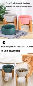 Elevated ceramic cat bowls in various colors with bamboo stands shown in usage scene