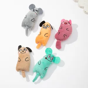 Set of five colorful plush catnip toys with funny facial expressions for indoor cats