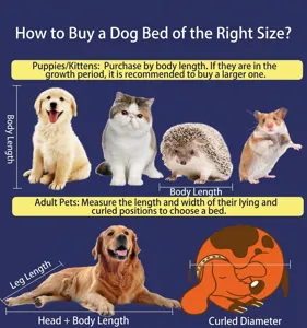 Guide infographique détaillé montrant comment mesurer les animaux pour le lit frais.