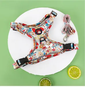 Vibrant floral print dog harness and leash set for small dogs on white display stand
