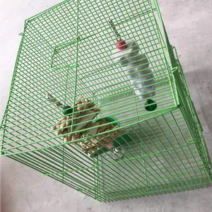 Ensemble de jouets à mastication pour perroquet avec os de seiche et écorce de maïs