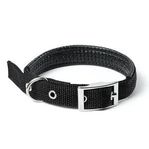 Detailansicht eines schwarzen gepolsterten Hundehalsbands mit stabiler Metallschnalle