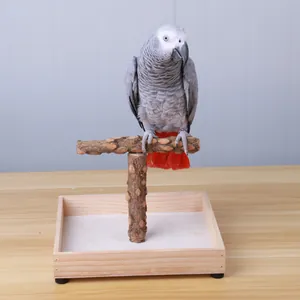 Detailansicht eines Papageienständers aus Naturholz in T-Form mit einer stabilen Holzschale unten.