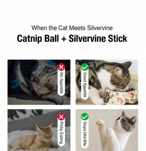 Comparison of cats reacting to natural catnip and silvervine balls for improved mood