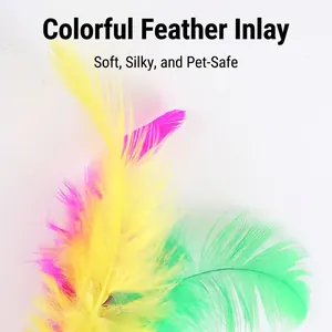 Soft colorful feathers accessory for interactive cat toys on a clean white background