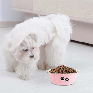 Detail view of pink stainless steel pet bowl filled with kibble beside a white dog.