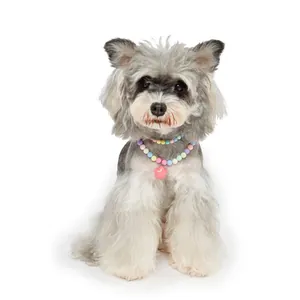 Cute colorful macaron bead pet necklace with pink star pendant worn by a small dog