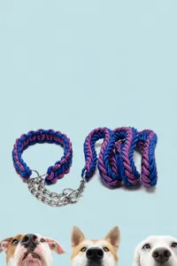 Close-up detail of the durable 8-strand braided nylon pet leash in blue and purple colors