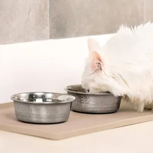 Durable stainless steel pet bowl set with non-slip silicone mat for cats and dogs