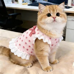 Dettaglio camicia per gatti rosa a fiori con volant e fiocco su un simpatico gatto zenzero