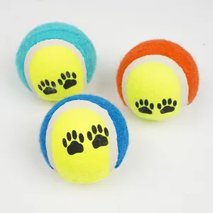 Nahaufnahme von bunten Haustier-Tennisbällen mit Pfotenabdrücken für Hundetraining