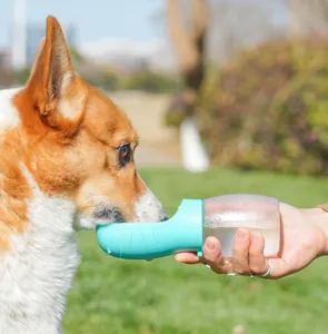 Gros plan d'un chien buvant dans une gourde portable pour animaux dans un parc