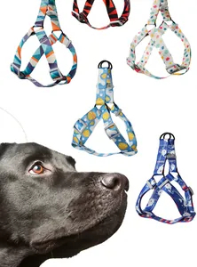 Vista detallada de varios arneses para perros con estampados coloridos y patrones.