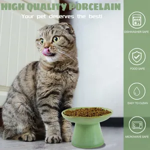 Vista dettagliata della ciotola rialzata in ceramica verde per gatti con icone di sicurezza