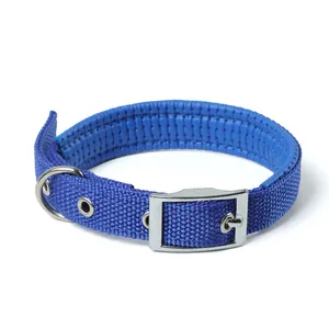Detailansicht eines blauen Hundehalsbandes mit Schaumstoffpolsterung und Metallschnalle