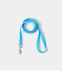 Detailed macro view of the bright blue nylon pet leash featuring a sturdy metal clasp.