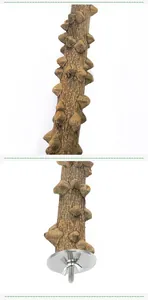 Detailed texture of natural prickly ash wood bird perch with mounting hardware.