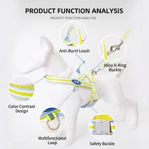 Adjustable dog harness and leash set featuring a shock-absorbing design for small dogs
