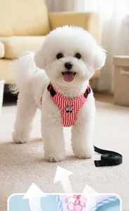 Close-up of a white dog wearing a red striped harness with cherry embroidery detail