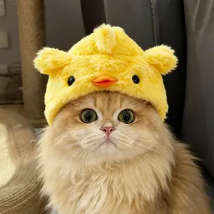 Cute yellow chick plush headgear shown on a fluffy golden British Shorthair cat