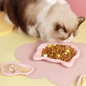 Cute pink cloud-shaped ceramic cat bowl suitable for wet and dry food presentation