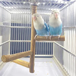 Natural wood bird perch installed in a cage with two lovebirds sitting on the branches