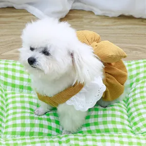 Niedliches gelbes Cord-Hundekleid im Kürbis-Stil mit weißem Spitzenkragen und Schleife