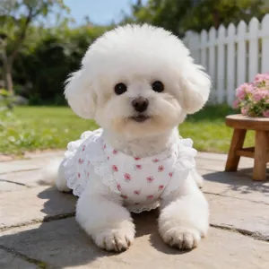 Dettaglio di un cane piccolo con vestito bianco a fiori e bordo in pizzo elegante