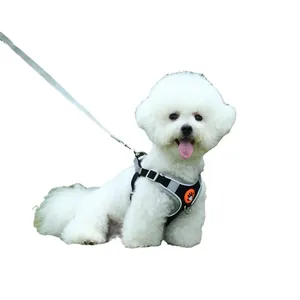 Breathable vest-style dog harness and leash set for small dogs like Bichon Frise