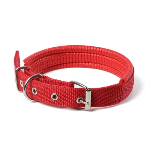 Nahaufnahme eines haltbaren roten Nylon-Hundehalsbands mit weicher Schaumstoffpolsterung