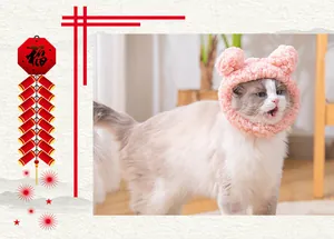 Close-up of a soft pink plush cat headgear featuring adorable bear ears on a fluffy ragdoll cat