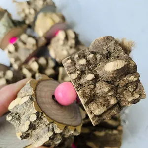 Close-up of natural prickly ash wood parrot toy with pink beads