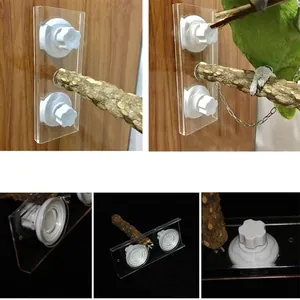 Dettaglio del posatoio per pappagalli con ventose e ramo in legno di frassino spinoso