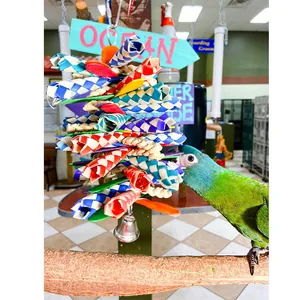 Macro view of a parrot playing with a colorful woven shredder toy featuring a bell