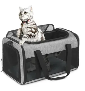 Vue détaillée d'un sac de transport gris pliable pour chat avec un chat à l'intérieur