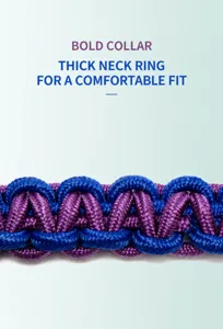 Close-up macro view of high-quality eight-strand woven nylon pet collar in blue and purple