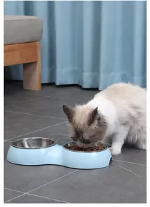 Detailed view of a light blue double pet bowl with a cat eating from a stainless steel insert