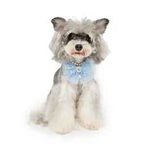 Detailed view of a dog wearing an elegant light blue tulle bow and pearl necklace