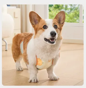 Schattige Corgi-hond met een waterdichte beschermende buikband met oranje patroon