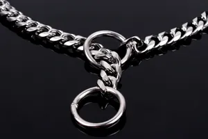 Macro detail of a polished stainless steel P-chain dog collar with heavy-duty metal rings