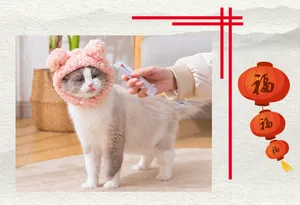 Plush cat headgear with cute pink bear ears shown on a fluffy cat in detail.
