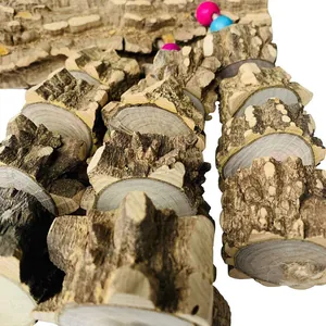 Macro view of natural prickly ash wood slices for durable parrot chewing bird toys