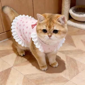 Primo piano di un grazioso vestito rosa a fiori per animali con pizzo bianco e fiocco rosso