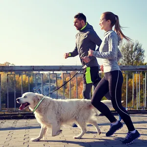 Koppel jogt met een Golden Retriever die een groene reflecterende halsband draagt.