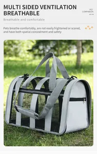 Large breathable pet carrier bag with mesh ventilation for outdoor travel