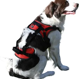 Rote Tier-Halterung für Mobilitätshilfe auf einem Hund mit Doppelgriffen